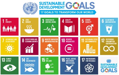 Sustainable development goals