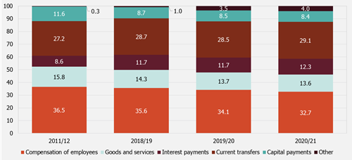 Composition of government expenditure (current versus capital)